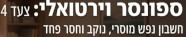 צעד3